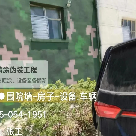 襄阳数码迷彩漆施工